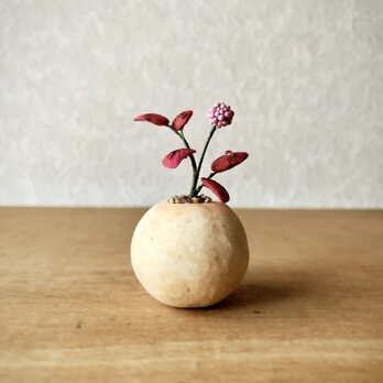 6104.bud 粘土の鉢植え ヒメツルソバの画像