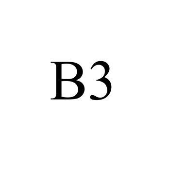 B3（364 x 515 mm）の画像