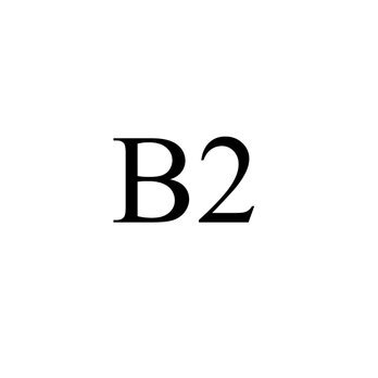 B2（515 × 728 mm）の画像