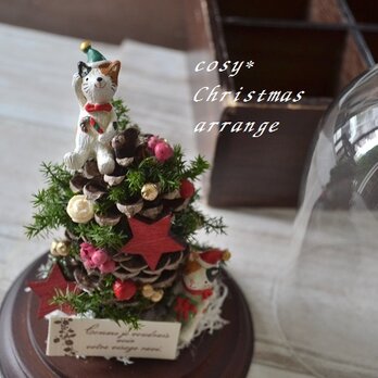 ガラスドーム＊猫とクリスマスツリーの画像