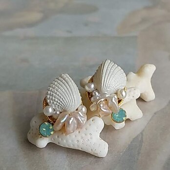 ◆ 貝殻のビジュー・ケシパール添え ◆の画像