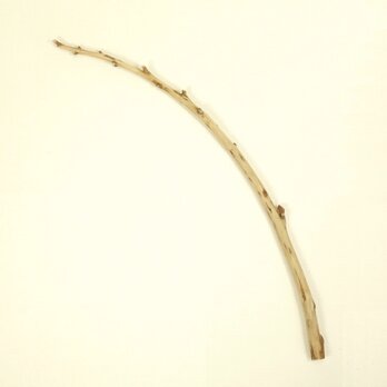 【温泉流木】元気な枝が残る湾曲美しい長枝流木 流木素材 インテリア素材 木材の画像
