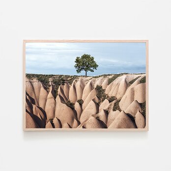 丘の上の一本の木 / A3 アートポスター 風景写真 カッパドキア 自然 トルコ 谷 岩 アートプリント 青空 横長の画像