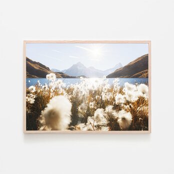 バッハアルプ湖 / アートポスター 風景写真 景色 山 自然 スイス アルプス山脈 アートプリント 植物 縦長の画像