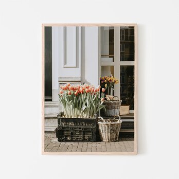 花屋のチューリップ / アートポスター 写真 アートプリント アムステルダム オランダ 花屋 白黒 カラー 縦長の画像