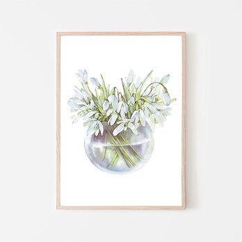 スノードロップ / A3 アートポスター 水彩画 イラスト アートプリント 縦長 花 フラワー ガラスジャー 水 白い花の画像
