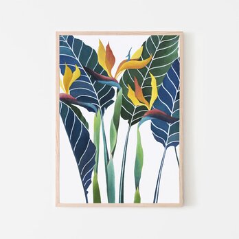 ストレリチアの絵 / アートポスター 植物 絵画 カラー アートプリント 自然 観葉植物 ゴクラクチョウカ 縦長の画像