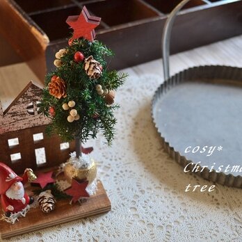 小さなサンタのお家＊クリスマスツリーの画像