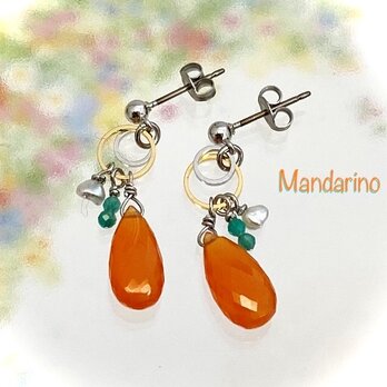 Mandarino（マンダリーノ）の画像