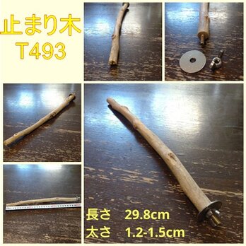 止まり木（枝：TOY-08-015）T393の画像