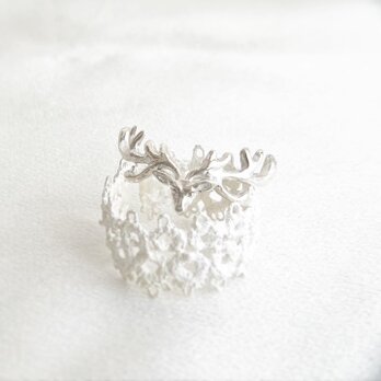 Reindeer ringの画像