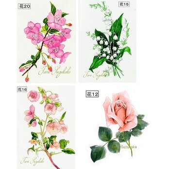 「桜・鈴蘭・薔薇・クリスマスローズ」アートカード選べる２枚セット（はがきサイズ）の画像