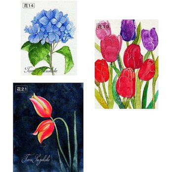 「紫陽花の花・チューリップの花」アートカード選べる２枚セット（はがきサイズ）の画像