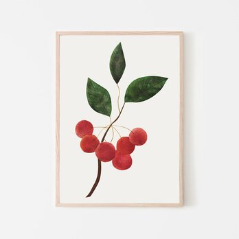シベリアンアップル / アートポスター 写真 ミニマル 果実 フルーツ 果物 イラスト アートプリント 縦長の画像