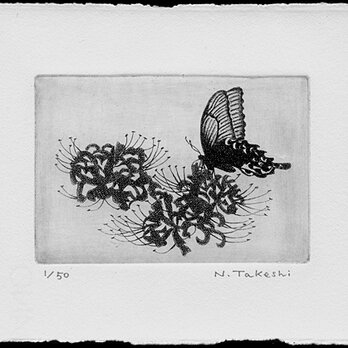 蝶と彼岸花/ 銅版画 (作品のみ）の画像