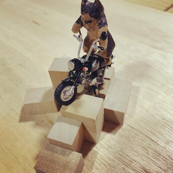 ぶさいく猫チョビ