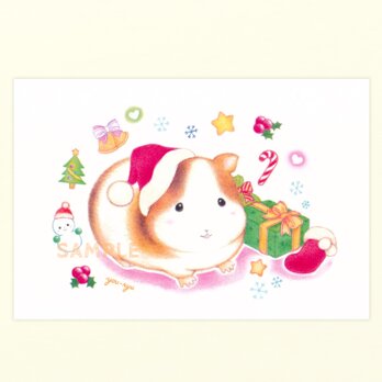 ポストカード『モルモットちゃんのクリスマス』2枚入の画像