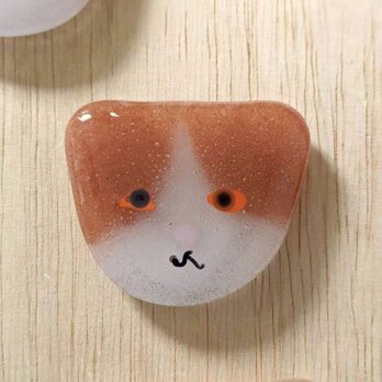 【usuislabo】glass cookies - 茶トラハチワレ猫の画像