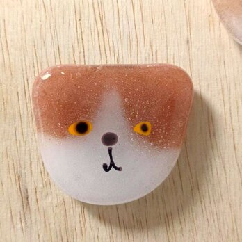【usuislabo】glass cookies - 茶トラハチワレ猫の画像