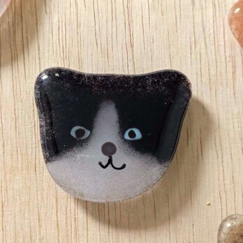 【usuislabo】glass cookies - 白黒ハチワレ猫の画像