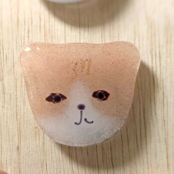 【usuislabo】glass cookies - 茶トラハチワレ猫（淡色）の画像