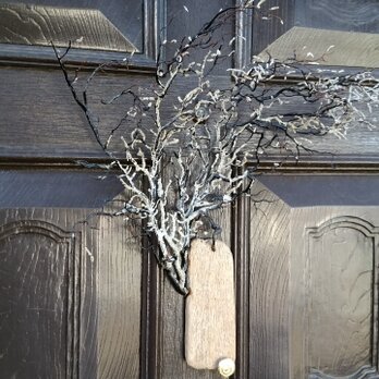 ウミウチワのドア飾り01の画像