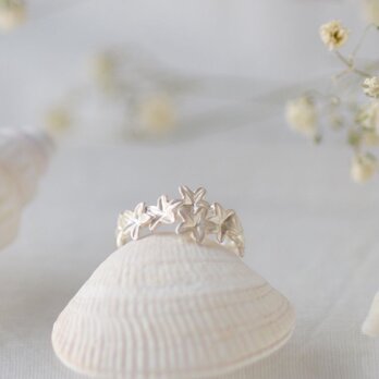 スナビキソウのイヤーカフ