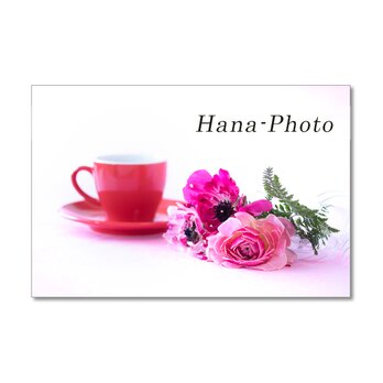 1505) アネモネのような咲き方の美しいラナンキュラス  　ポストカード5枚組の画像