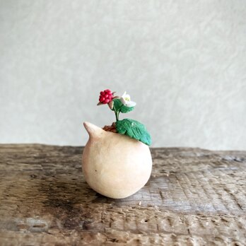 6230.bud 粘土の鉢植え 冬イチゴの画像