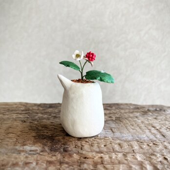 6231.bud 粘土の鉢植え 冬イチゴの画像