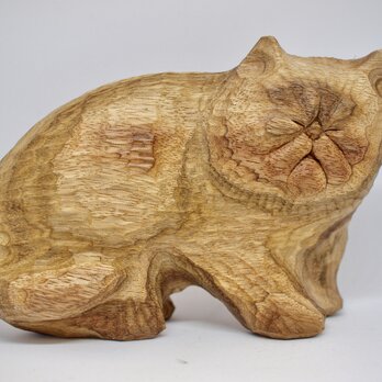 猫5の画像