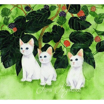 水彩画・原画「3匹の子猫と桑の実」の画像