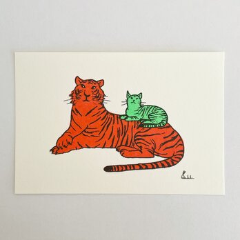 年賀状「虎と猫」5枚セットの画像