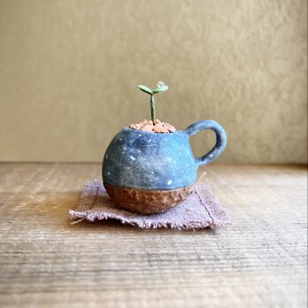 6236.bud 粘土の鉢植え マグカップの画像