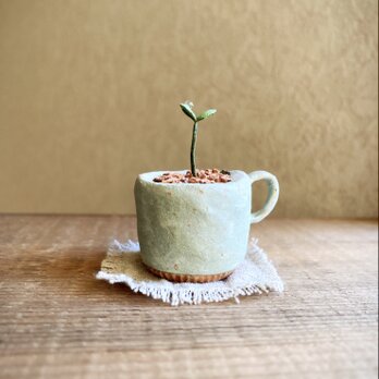 6237.bud 粘土の鉢植え マグカップの画像