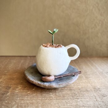6238.bud 粘土の鉢植え マグカップ&ソーサーの画像