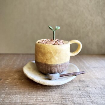 6240.bud 粘土の鉢植え マグカップ&ソーサーの画像