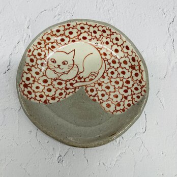 京焼　猫の小皿　赤絵　菊と猫の画像