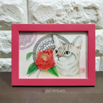 原画 1点もの 額装付き 色鉛筆画 ボールペン画 日本人作家 猫の絵 猫 ねこ ネコ 絵画 絵 アートの画像