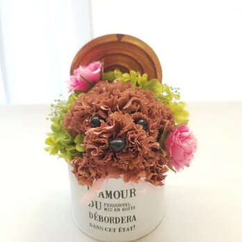 花の犬【濃茶・ミニ】プリザーブドフラワー　カーネーション 動物　ペット　犬　花　母の日 誕生日 お供えの画像