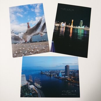 ポストカード３枚セット  みなと神戸に咲く華「ユリカモメ」「夕夜景」「水鏡」 神戸風景写真  港町神戸  送料無料の画像