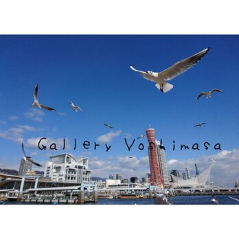 異国情緒漂う港町神戸 「かもめりあ」 「港のある暮らし」2L判サイズ光沢写真横  写真のみ  神戸風景写真の画像