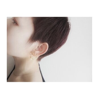 BIG Mi-Mistletoe Brass Fook Earringの画像