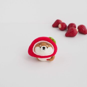 【受注製作】なりきりいちごのまゆ柴犬(赤柴・黒柴・白柴)　羊毛フェルトの画像