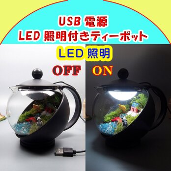 LED照明【苔テラリウム・手作りキット一式】ティーポットの画像