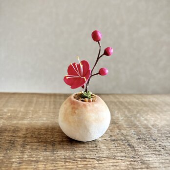 6266.bud 粘土の鉢植え ウメ - 紅の画像