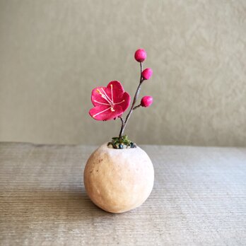 6267.bud 粘土の鉢植え ウメ - 紅の画像