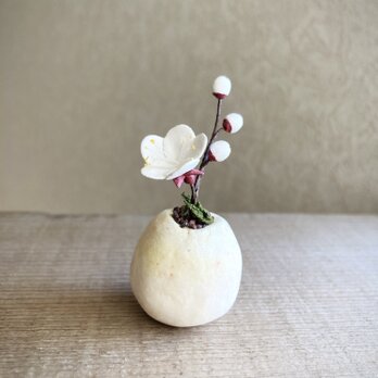 6268.bud 粘土の鉢植え ウメ - 白の画像