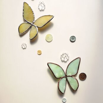 春の蝶　ペパーミントの画像