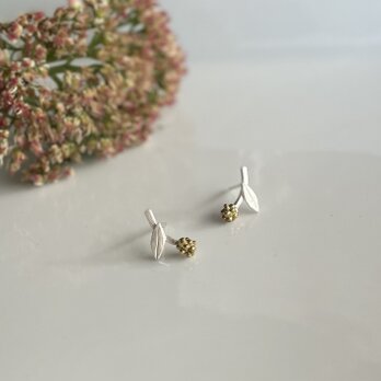 小さなハハコグサ ピアス〈シルバー× 真鍮〉の画像